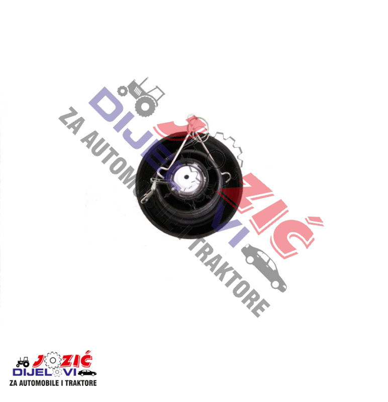 Daisy on the Ohoopee