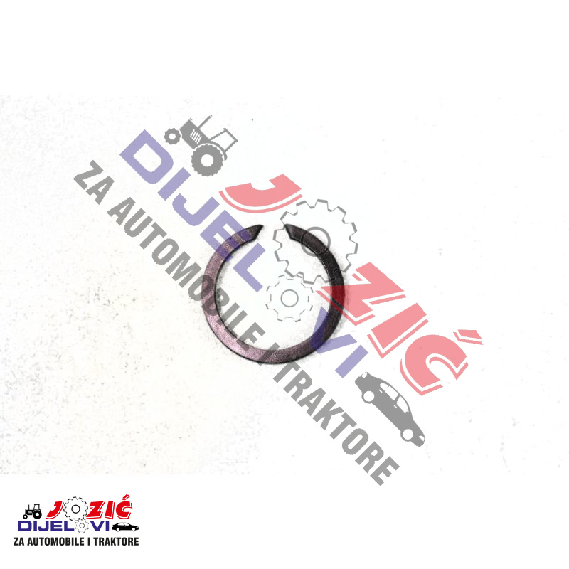 Daisy on the Ohoopee