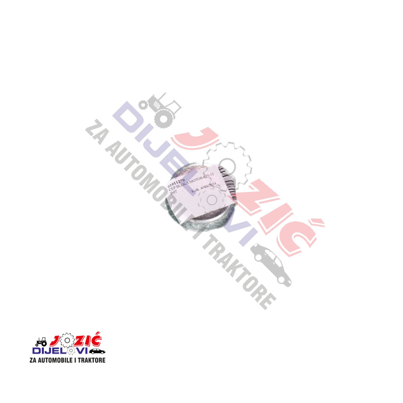 Daisy on the Ohoopee