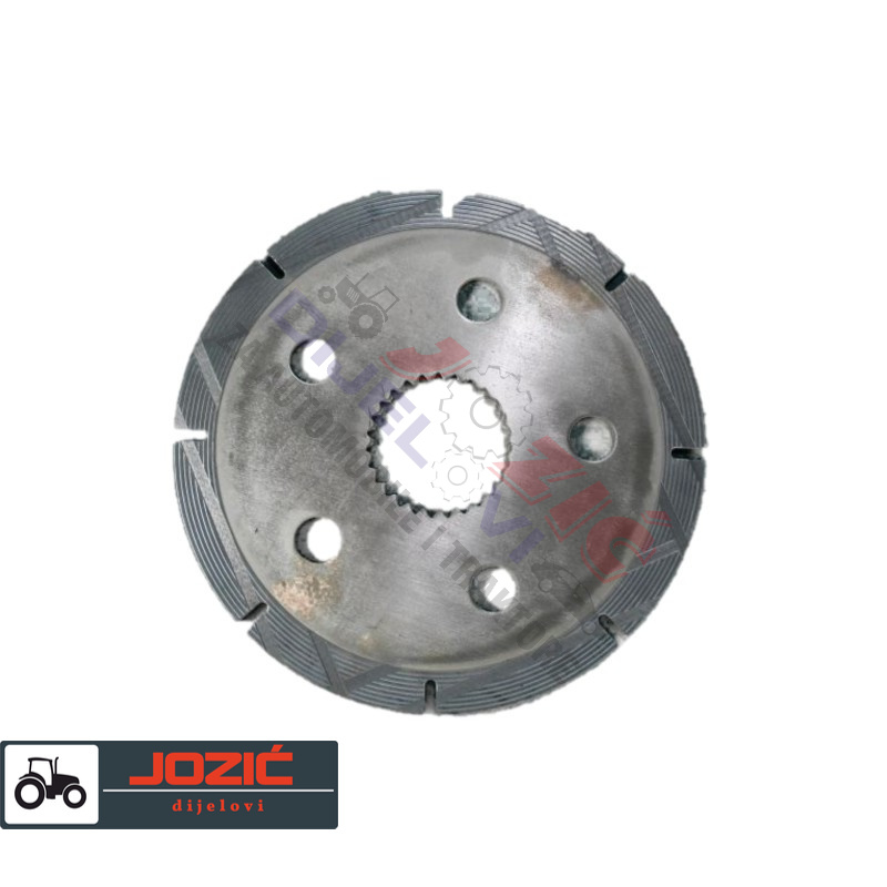 Daisy on the Ohoopee