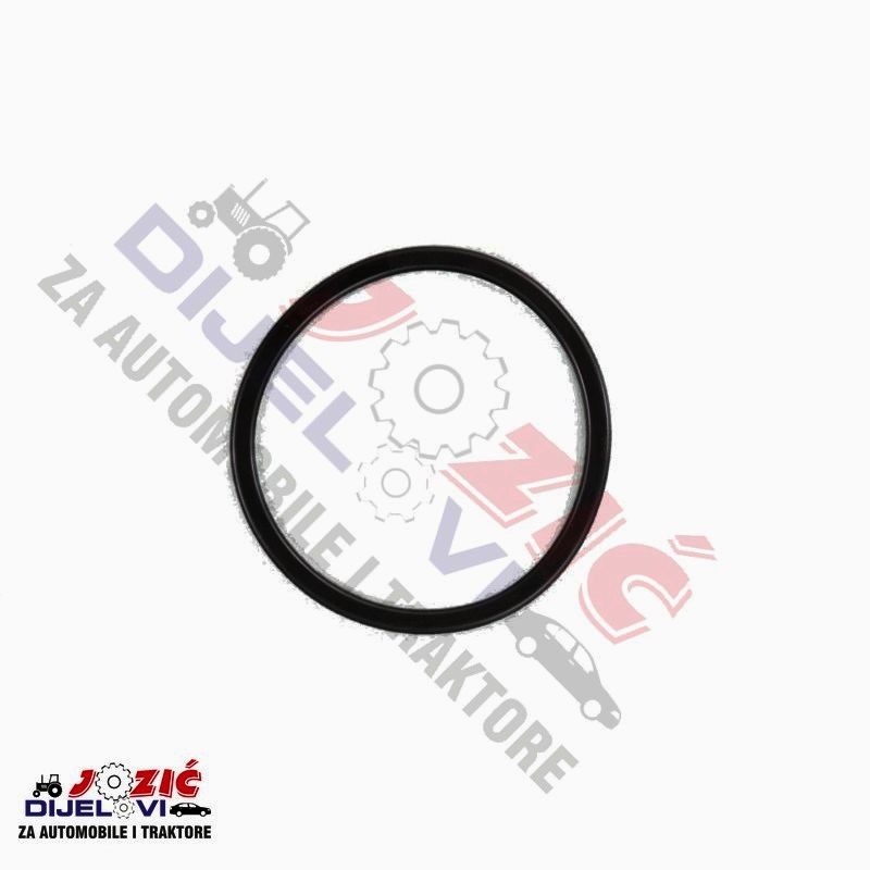 Daisy on the Ohoopee