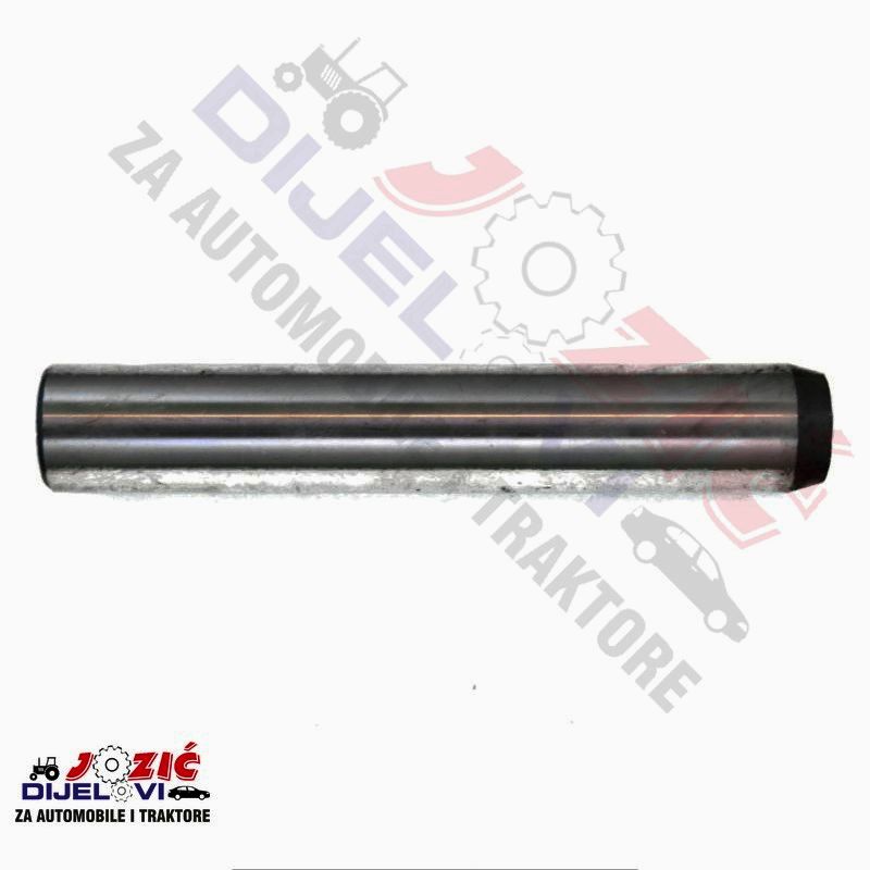 Daisy on the Ohoopee