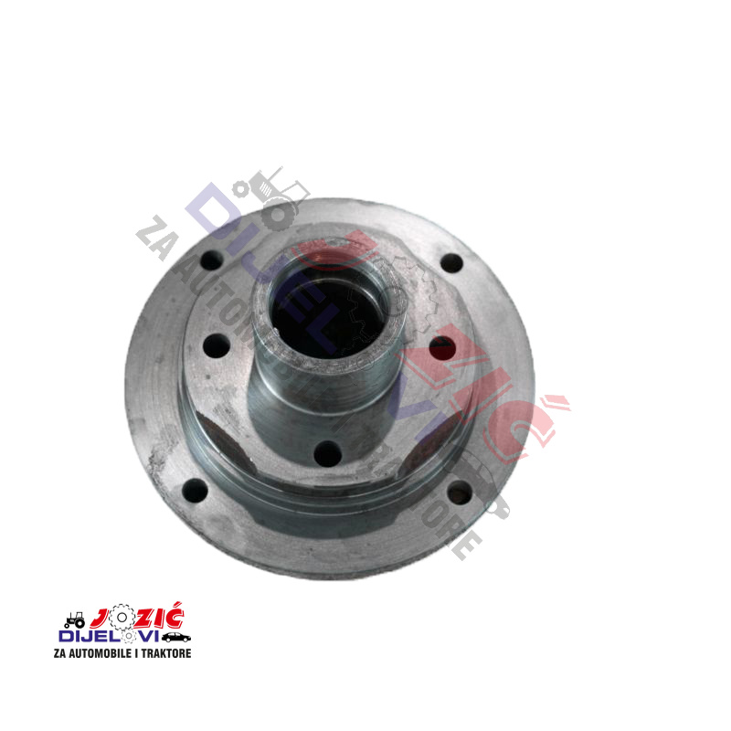 Daisy on the Ohoopee