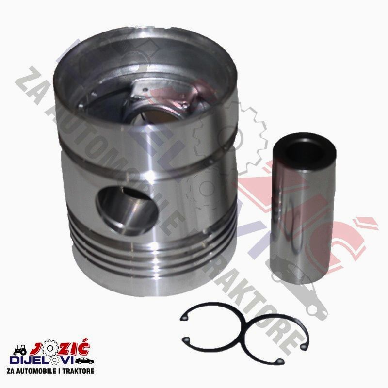 Daisy on the Ohoopee