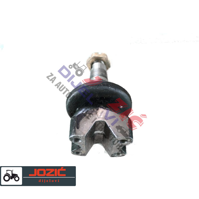 Daisy on the Ohoopee