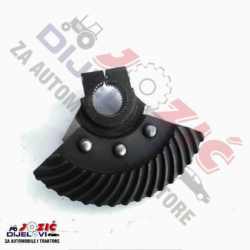 Daisy on the Ohoopee