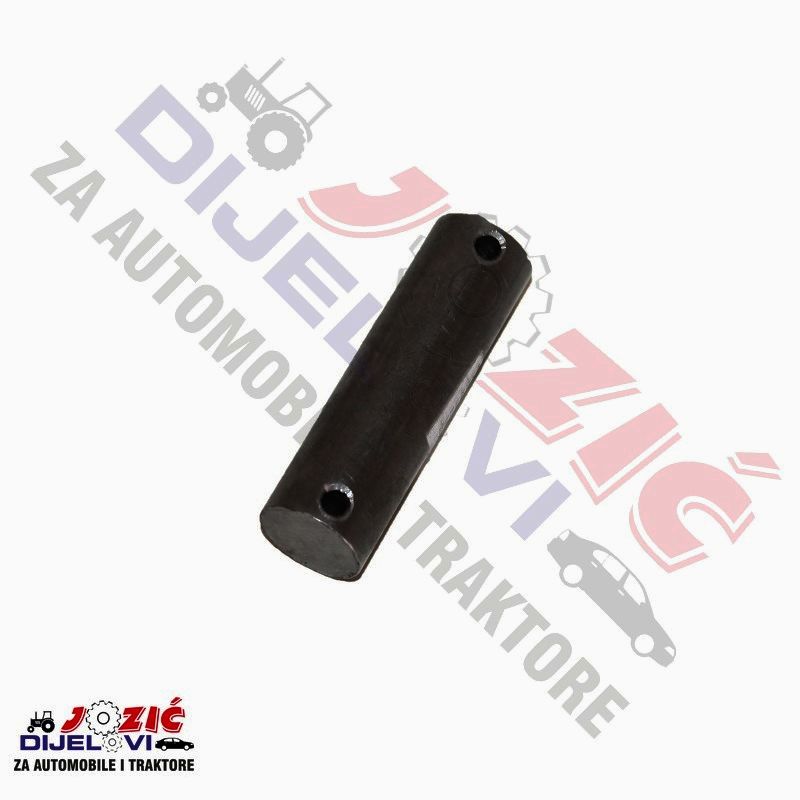 Daisy on the Ohoopee