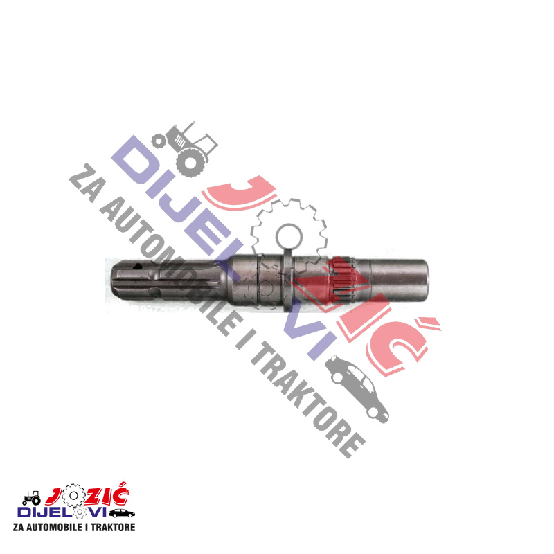 Daisy on the Ohoopee