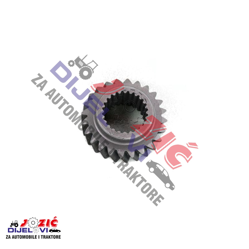 Daisy on the Ohoopee