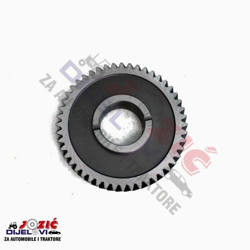 Daisy on the Ohoopee