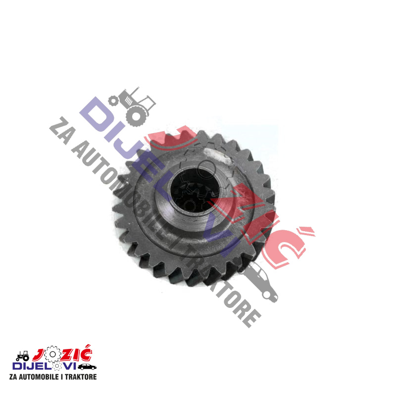 Daisy on the Ohoopee