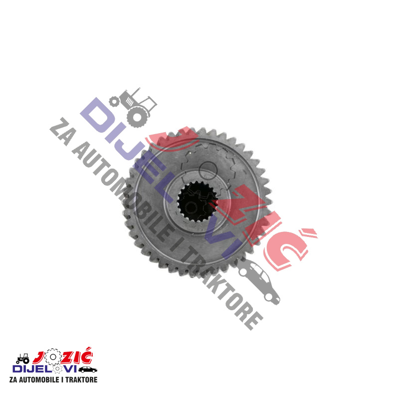 Daisy on the Ohoopee