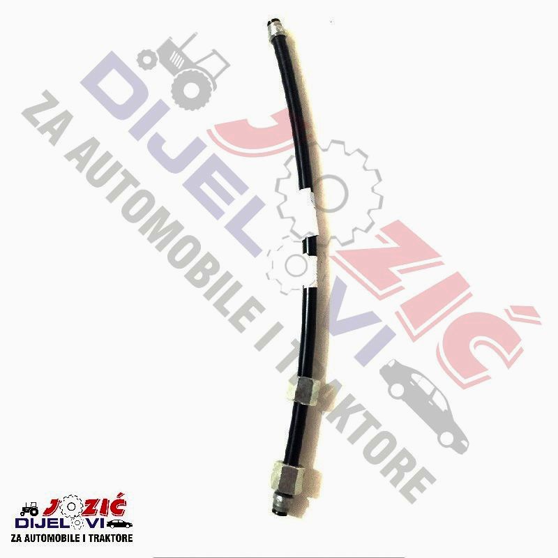 Daisy on the Ohoopee