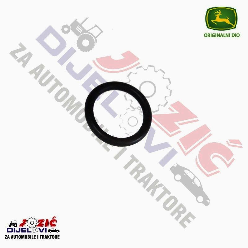 Daisy on the Ohoopee