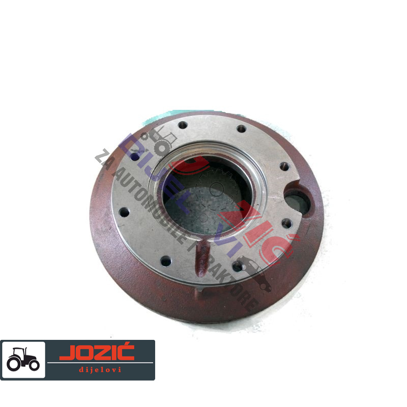 Daisy on the Ohoopee