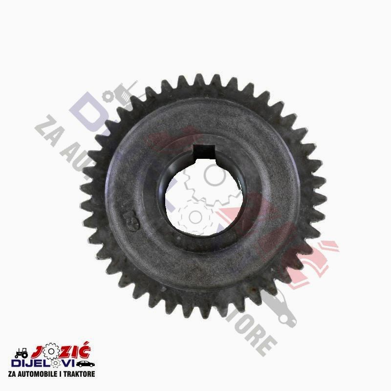 Daisy on the Ohoopee