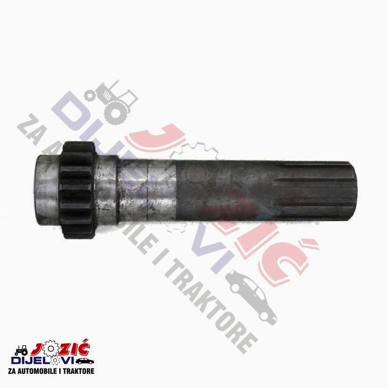 Daisy on the Ohoopee