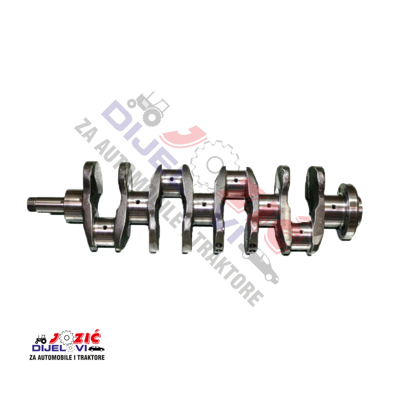 Daisy on the Ohoopee