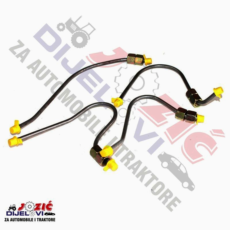 Daisy on the Ohoopee