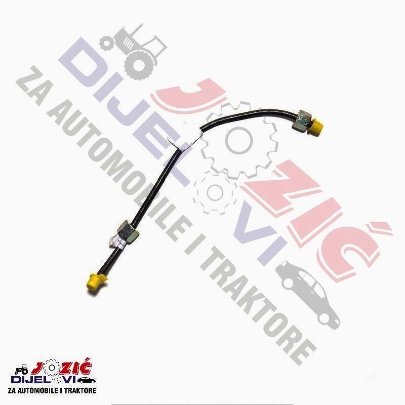 Daisy on the Ohoopee