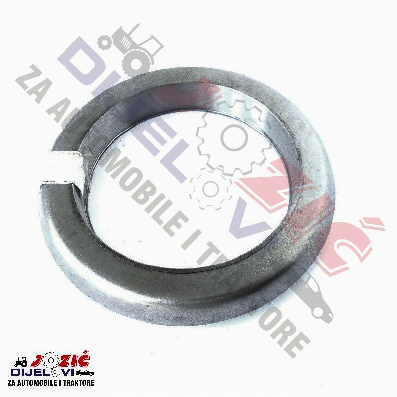 Daisy on the Ohoopee