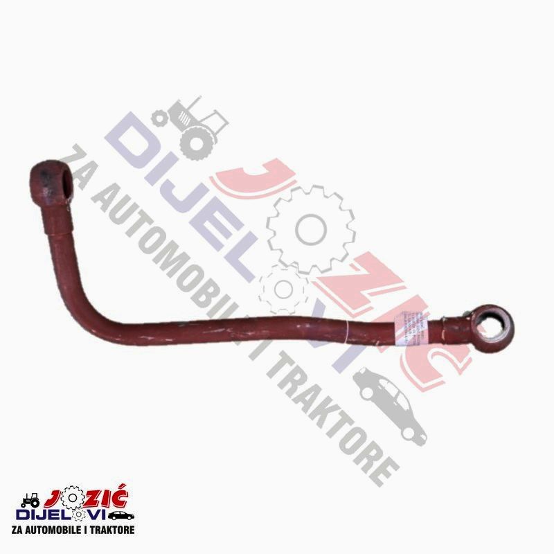 Daisy on the Ohoopee