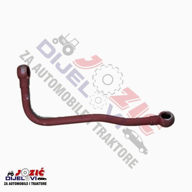 Daisy on the Ohoopee