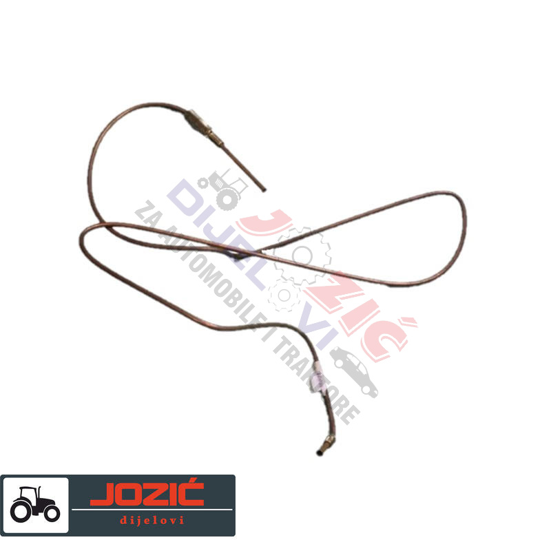 Daisy on the Ohoopee