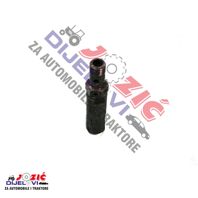 Daisy on the Ohoopee