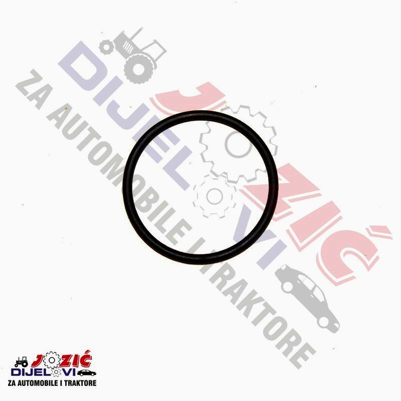 Daisy on the Ohoopee