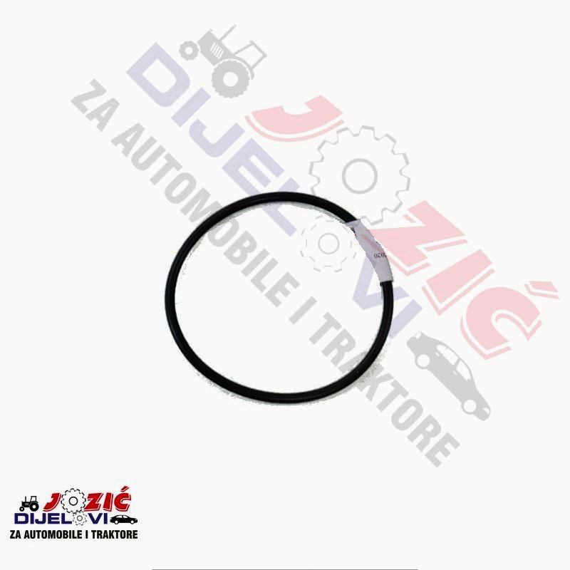 Daisy on the Ohoopee