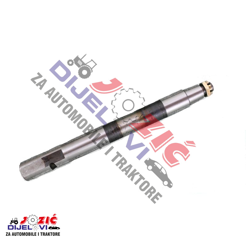 Daisy on the Ohoopee