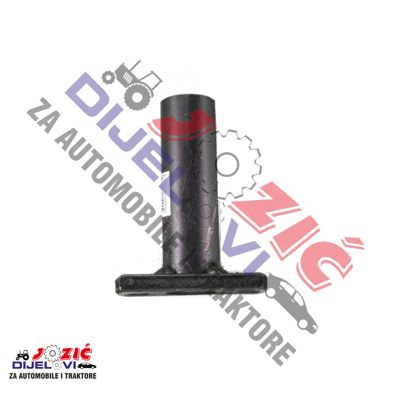 Daisy on the Ohoopee