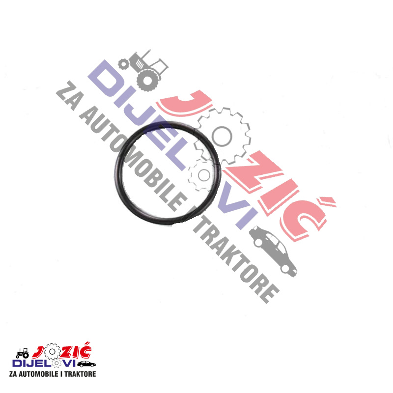 Daisy on the Ohoopee