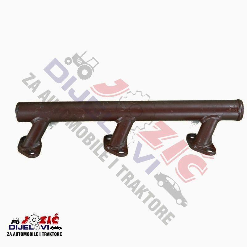 Daisy on the Ohoopee