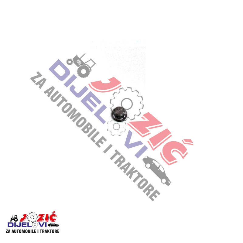 Daisy on the Ohoopee