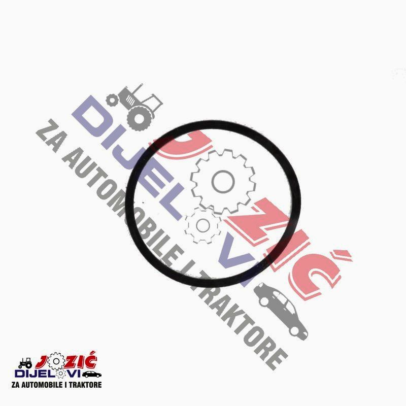 Daisy on the Ohoopee