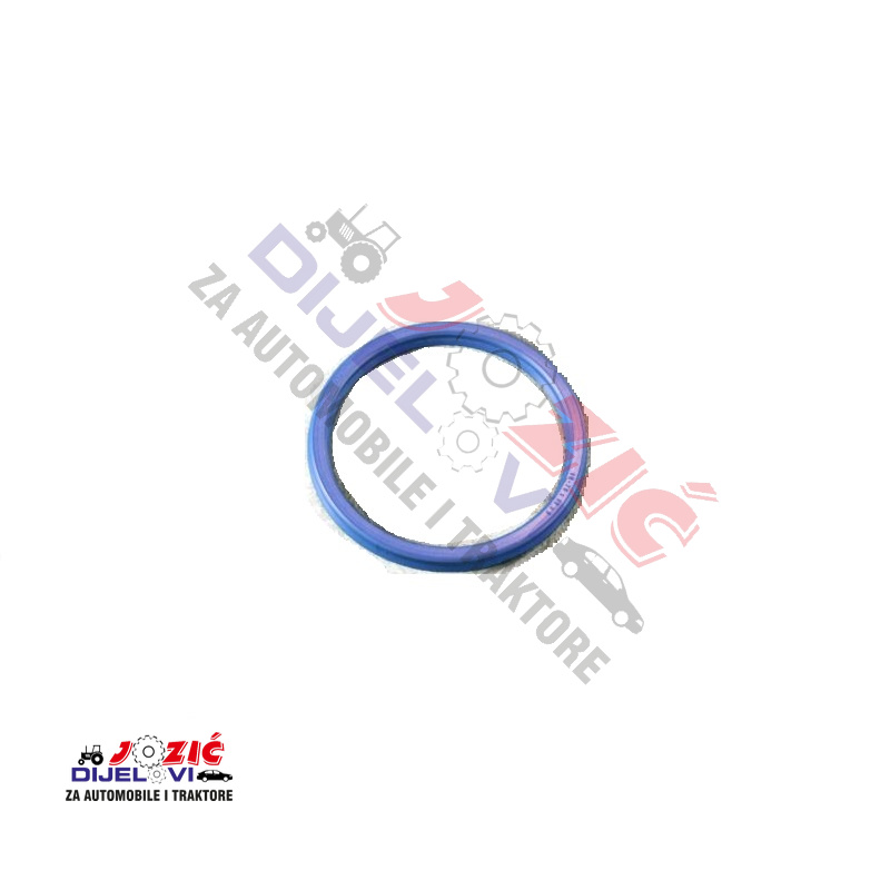 Daisy on the Ohoopee