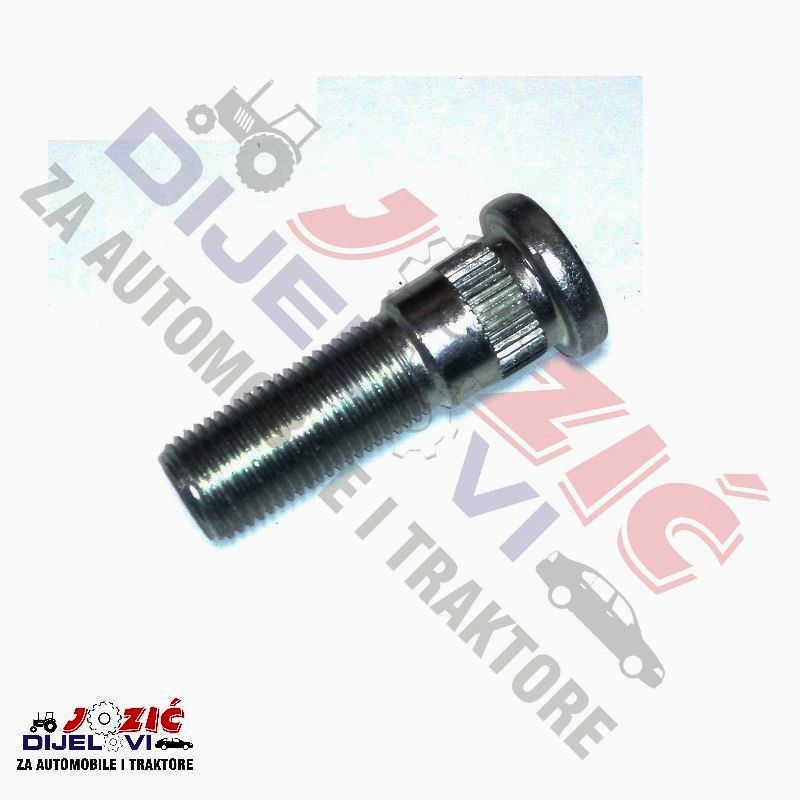 Daisy on the Ohoopee