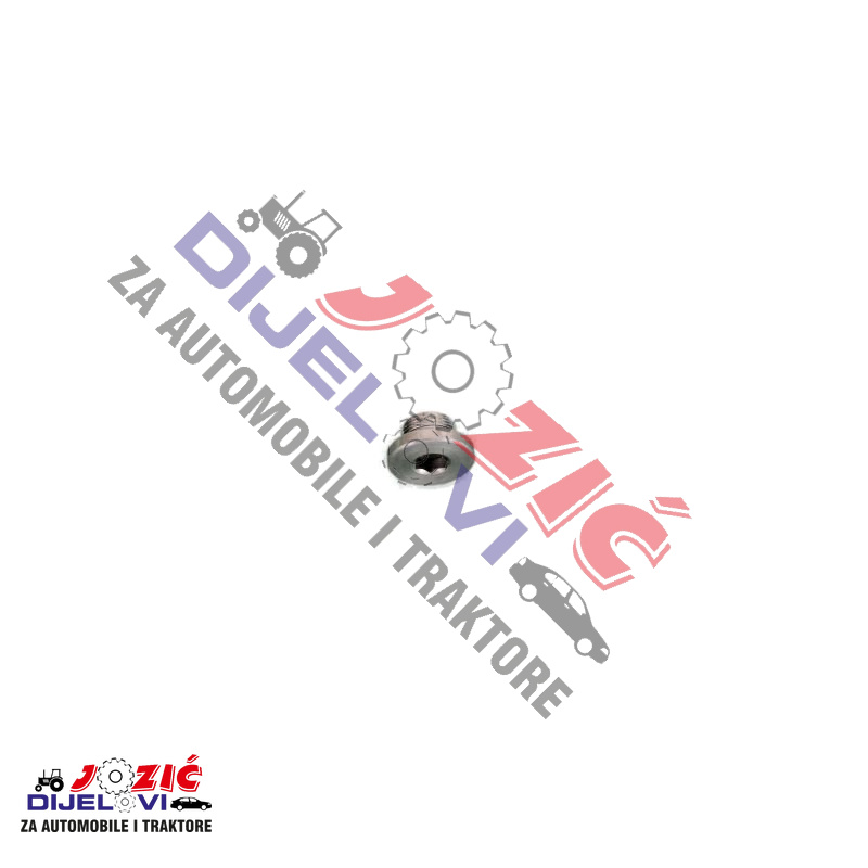 Daisy on the Ohoopee