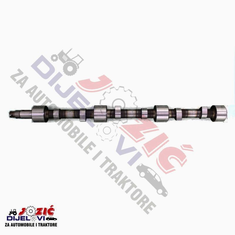 Daisy on the Ohoopee