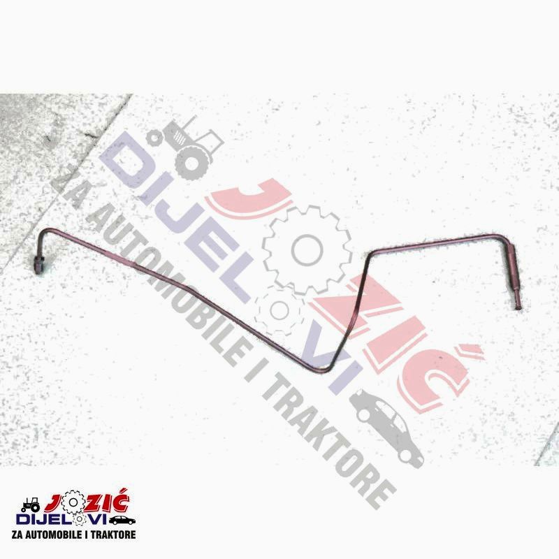 Daisy on the Ohoopee