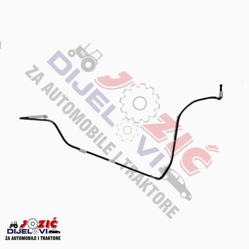 Daisy on the Ohoopee