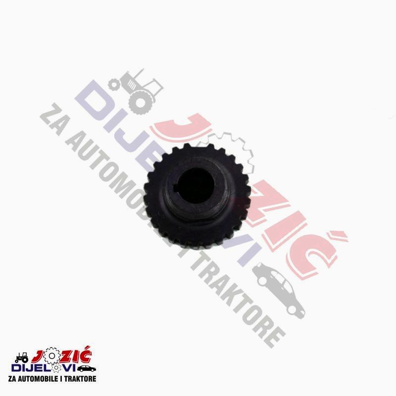 Daisy on the Ohoopee