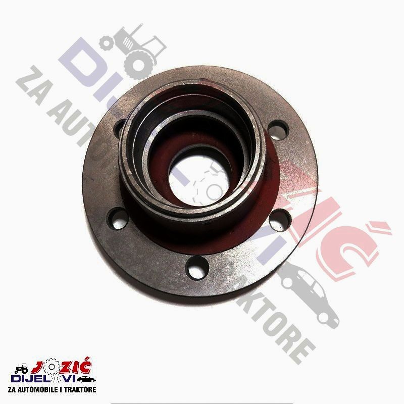 Daisy on the Ohoopee