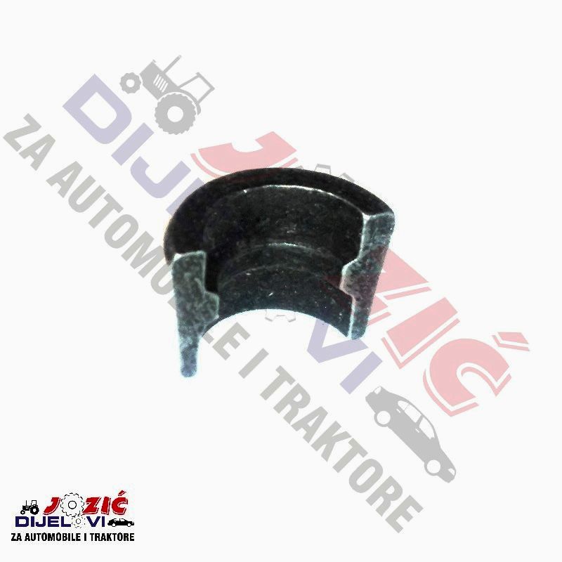 Daisy on the Ohoopee