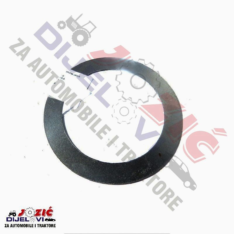 Daisy on the Ohoopee