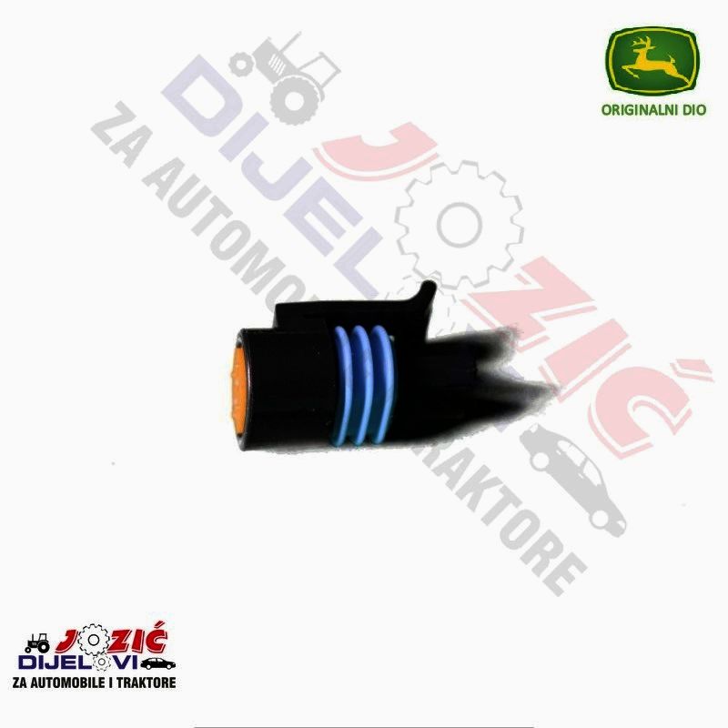 Daisy on the Ohoopee