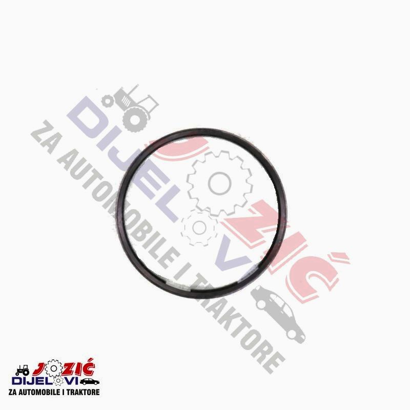 Daisy on the Ohoopee