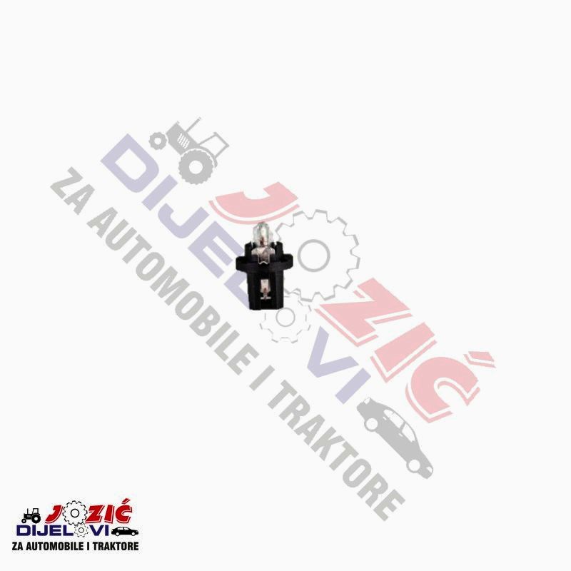 Daisy on the Ohoopee